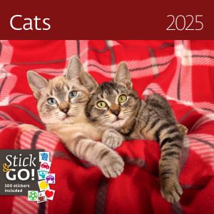 Katzen-Wandkalender - Reklamnepredmety