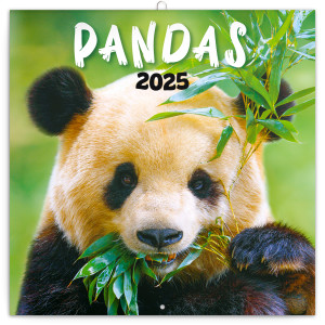 Pandas 2025 Notizkalender