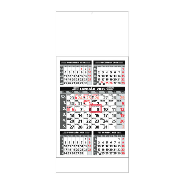 Planungskalender STANDARD 5M grau 2025